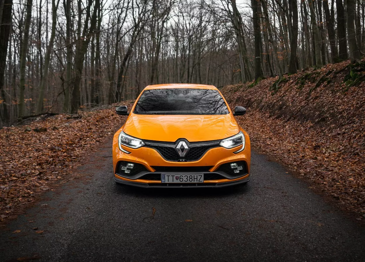 Renault Zoe Beige, Black, 2024